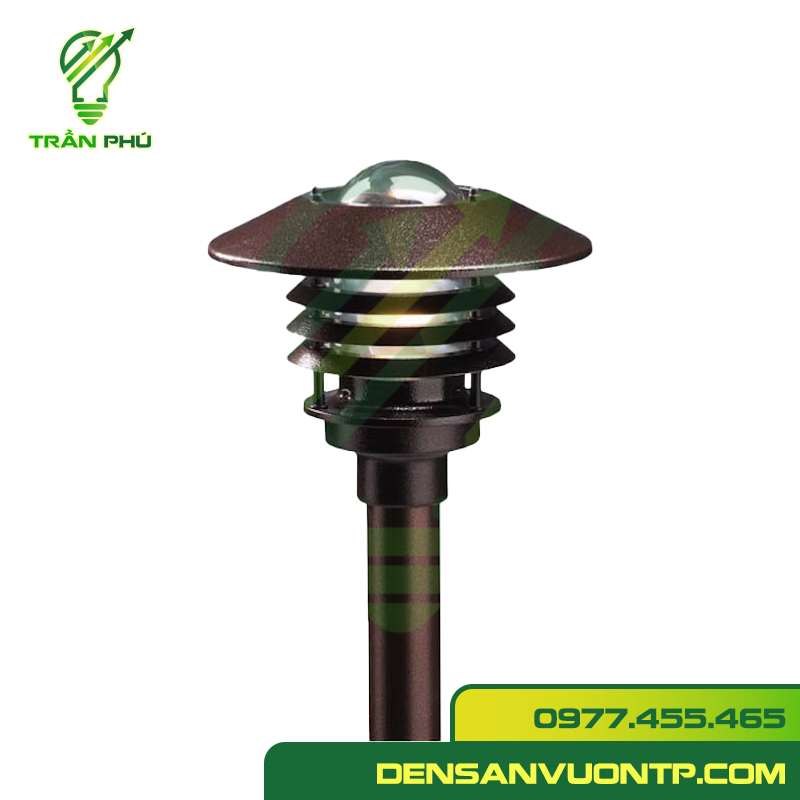 nấm bách tán đèn trụ nấm sân vườn nấm bách tán