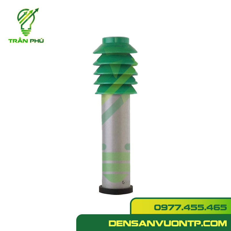 nấm cây thông b đèn trụ nấm cây thông