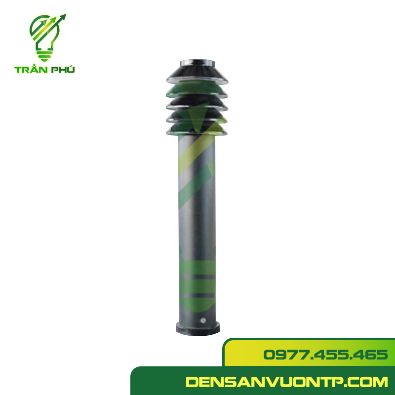 nấm cây thông c đèn trụ nấm cây thông