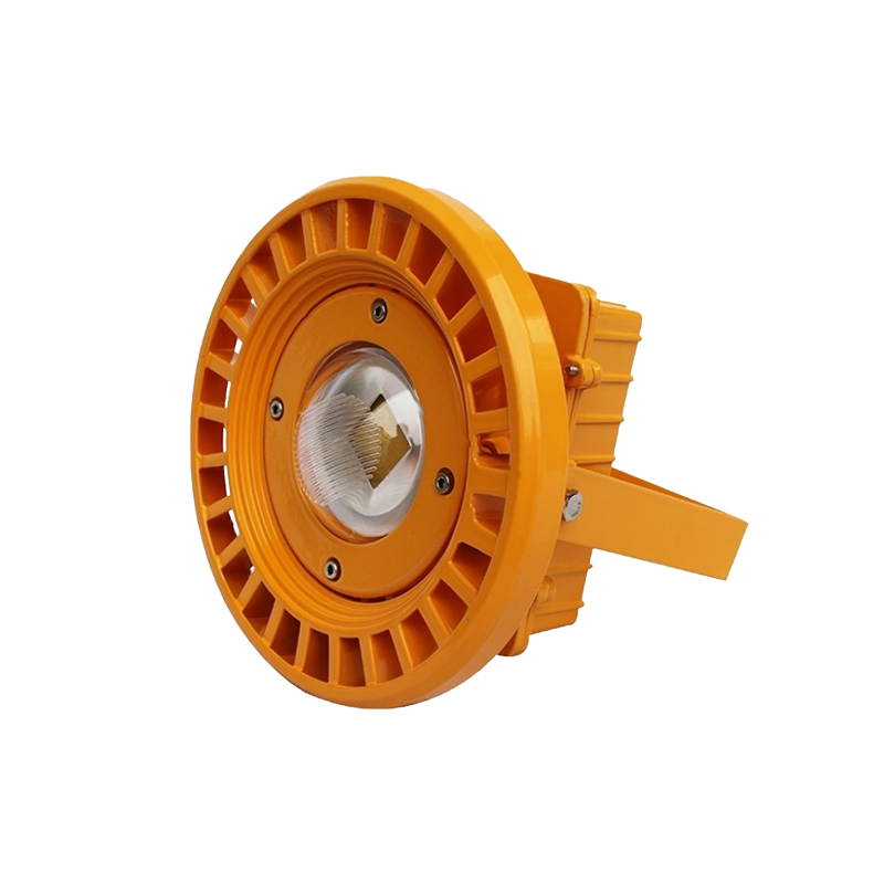 chong no 100W đèn xưởng chống nổ 100W