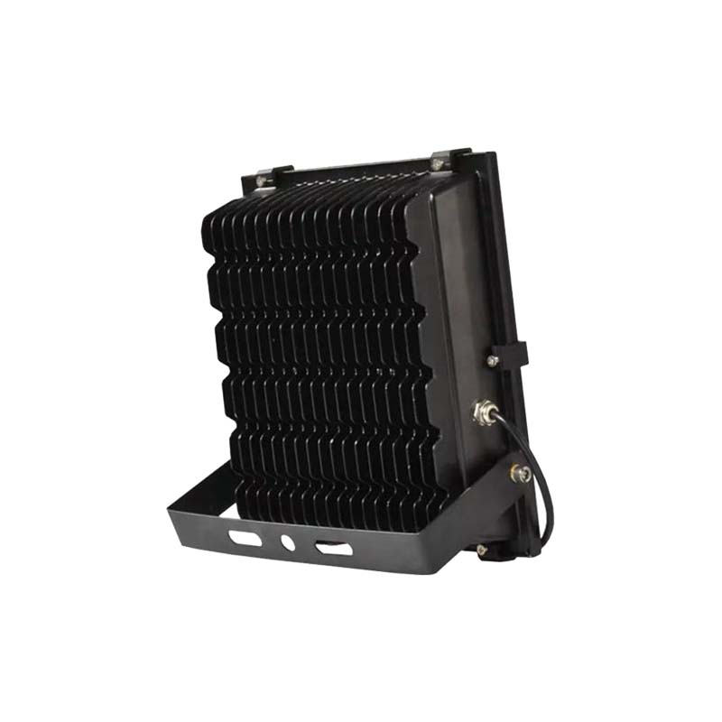 đèn pha phillips 100w b