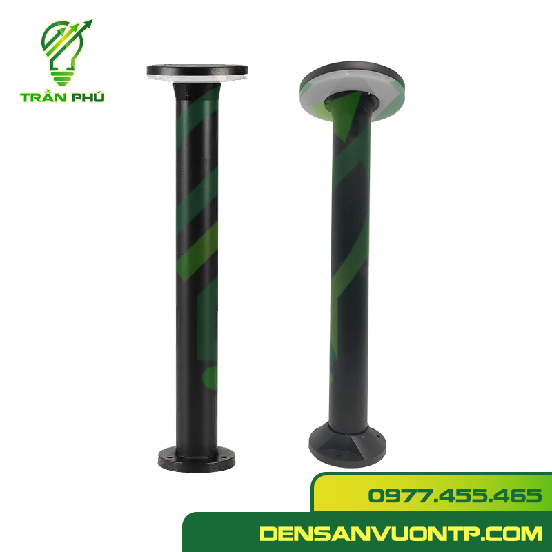 Trụ sv nấm đĩa a