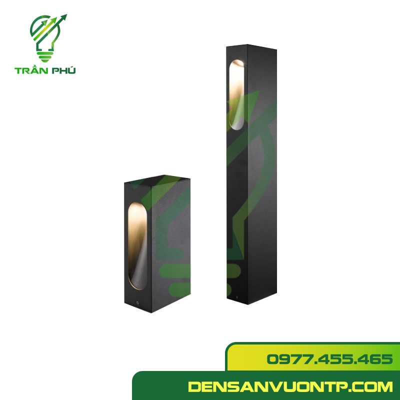 Nấm hộp hiện đại