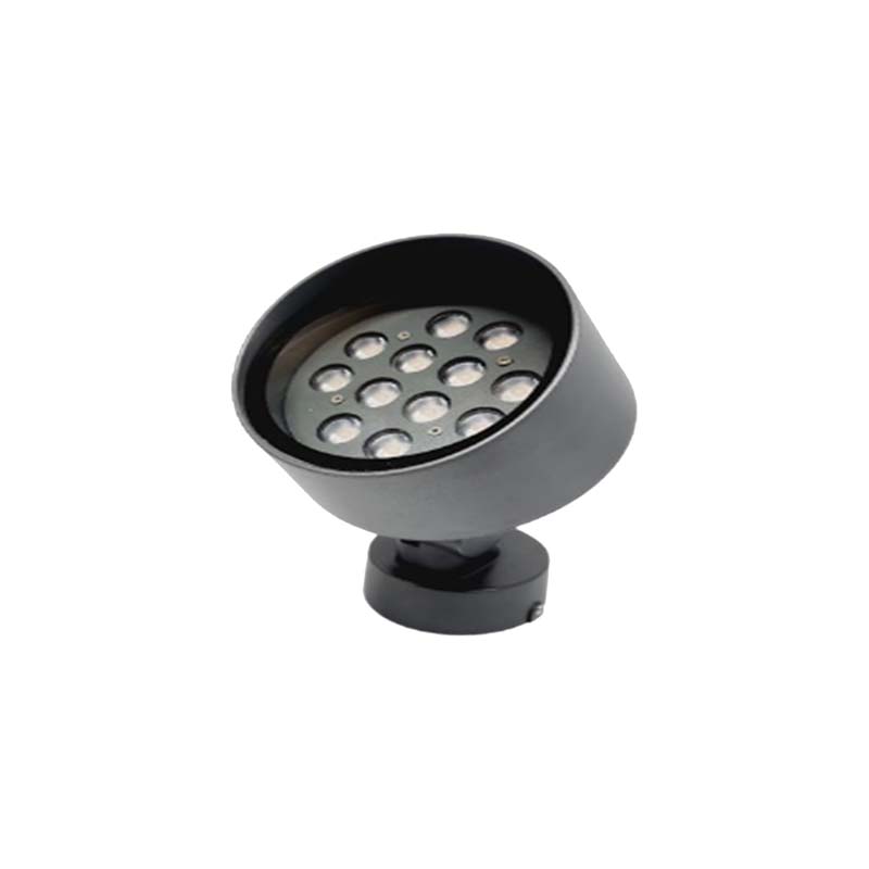 SP11 12x2w