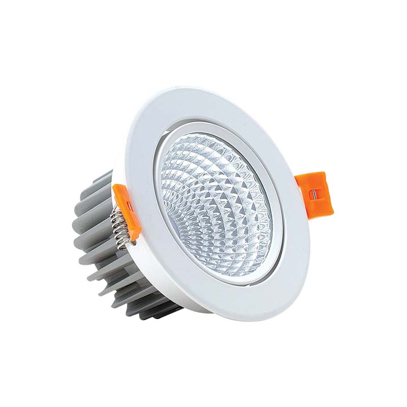 DL31 _ Downlight chóa COB chuyển hướng - ảnh trắng a
