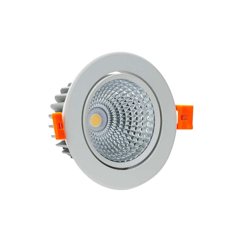 DL31 _ Downlight chóa COB chuyển hướng - ảnh trắng b