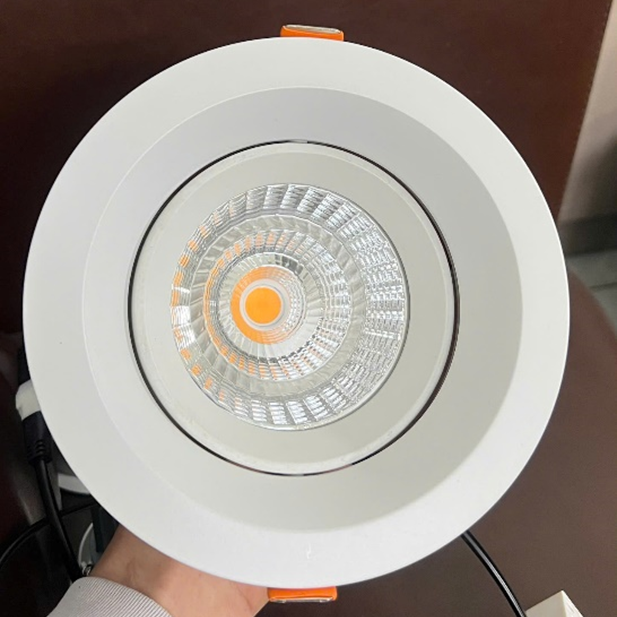 DL31 _ Downlight chóa COB chuyển hướng - ảnh trắng